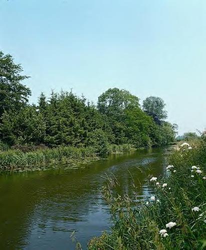 Marienthaler 3*